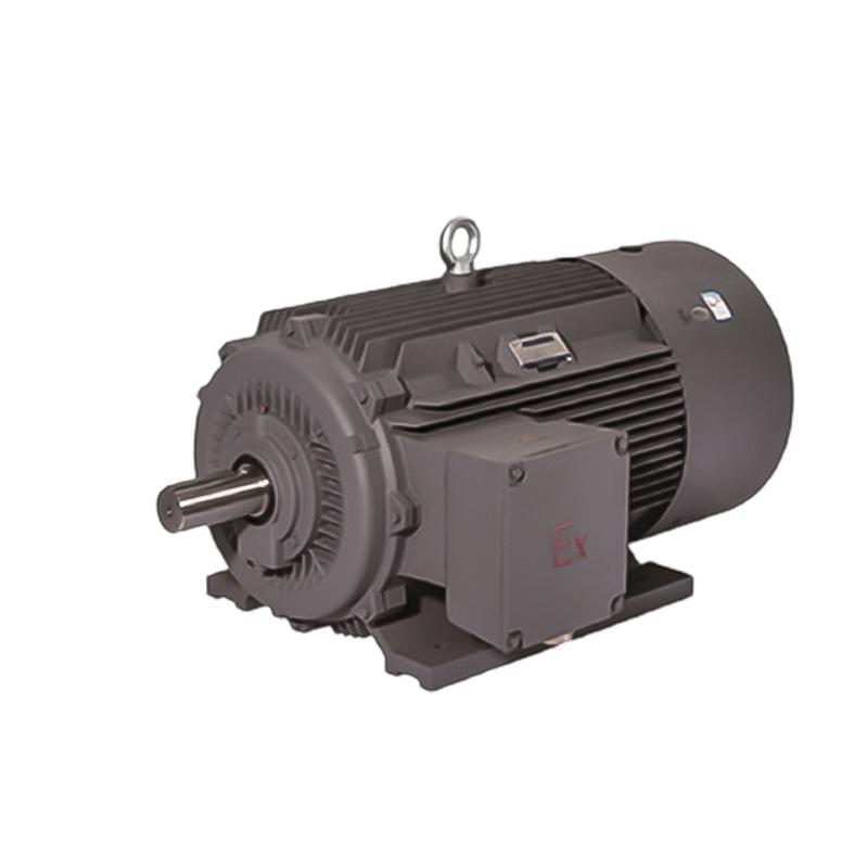 Yinmengda 1MT0 Series Dustproof & Explosion-proof Copper Coil 3-Phase Motor