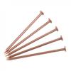 Effective Copper Nail Spikes 4 Inch Length for Tree and Stump Root Management
