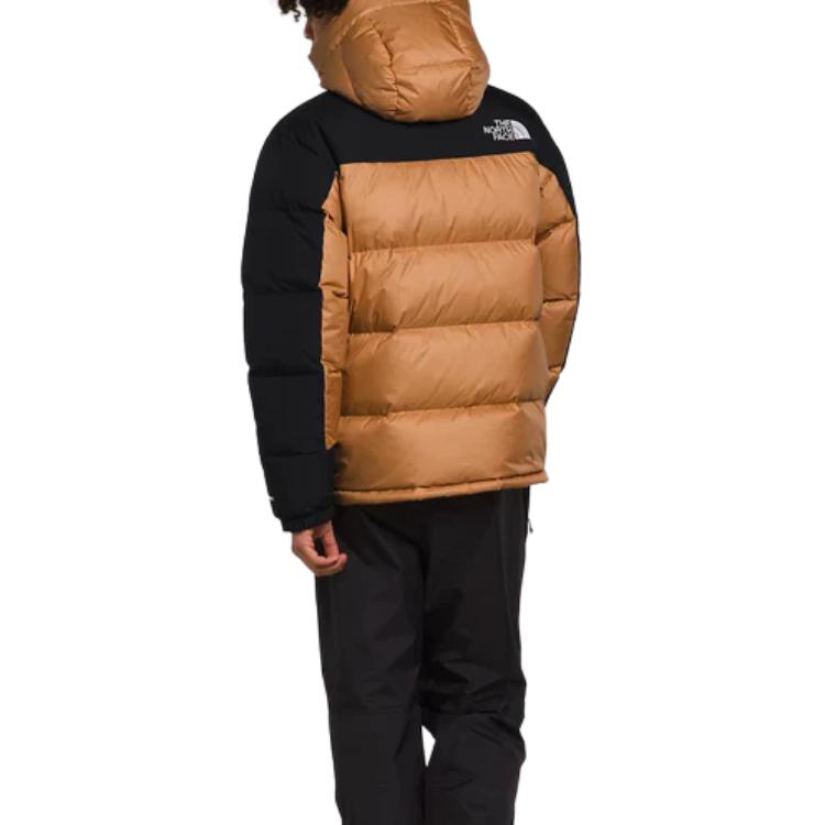THE NORTH FACE 550 Logo-embroidered Padded Jacket NF0A4QYX-KOM