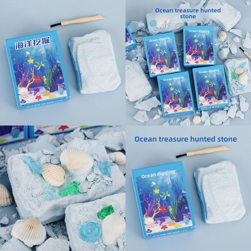 Marine Fossil Digging Toy With Handcrafted Shells For Kids Educational Play