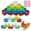 Inner Diameter 1.6cm Poultry Digital Clip-type Foot Rings NO.001~500 Chicken Goose Leg Identification Marker Tools 1Pack/100Pcs
