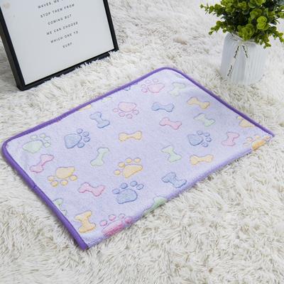 Winter Pet Blanket Seasonal Warm Coral Velvet Blanket 40 * 60cm