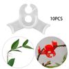 Pieces Vegetable 90 Degree Control The Trainers Bender Garden Fixing Clips Tomato Stem Support