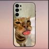 Pet Cat Funny memes Phone Case For Samsung S25,S24,S21,S22,S23,S30,Ultra,S20,Plus,Fe,Lite,Note,10,9,5G Black Soft Cover