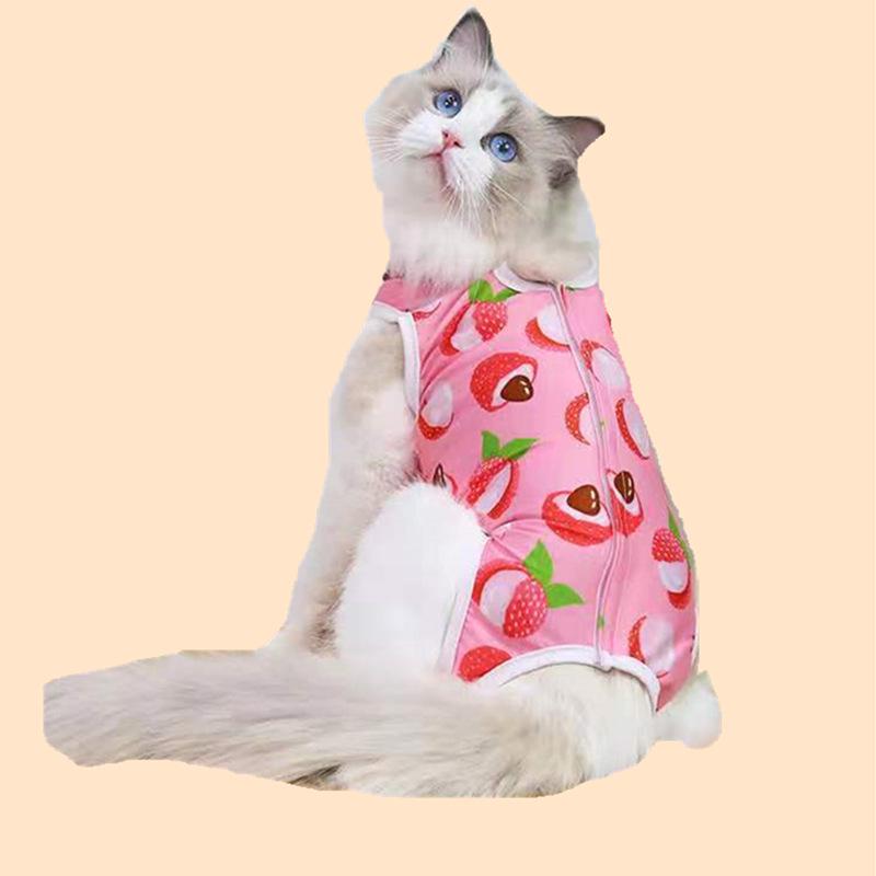 Haine Protective Post-Operatorii pentru Pisici - Anti-Mușcătură/Lins, Imprimeu Desen Animat