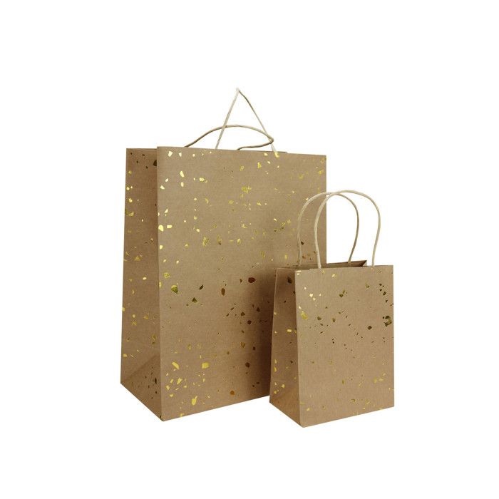 Kraft and Gold Gift Bag 2 Pieces
