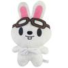 70Style Skzoo Plush Keychain Kawaii Skzoo Keychain Stay Plush Cartoon Stuffed Animal Doll Kawaii Toys Room Decor Children Gift