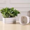 Double Layer Self Watering Flower Pot Plastic Flower Planter Hydroponics Plant Pot  Garden Supplies