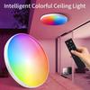 24W Power Tuya Smart WiFi Ceiling Light RGB Color Changing Dimmable Function Smart LED Ceiling Light 220V Voltage Flush Mount