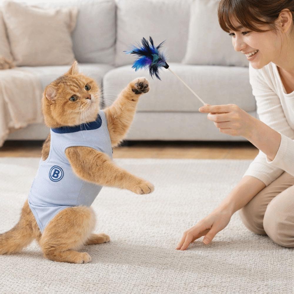 Hohe Elastizität Katze Sterilisationsanzug Weiche Atmungsaktive Haustier Anti-Leck-Weste Dünner Stoff Bequeme Katze Genesungsbekleidung