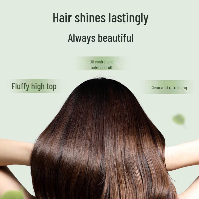 Shulai Tea Tree Oil Control Anti-Dandruff Shampoo & Conditioner Set