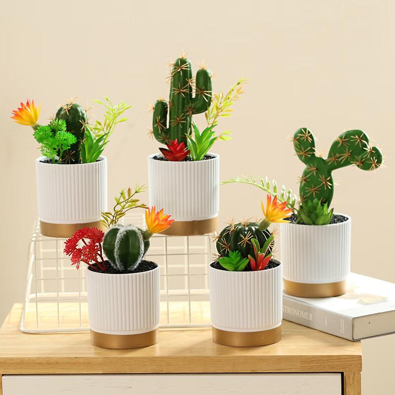 Artificial Cactus Desktop Ornament