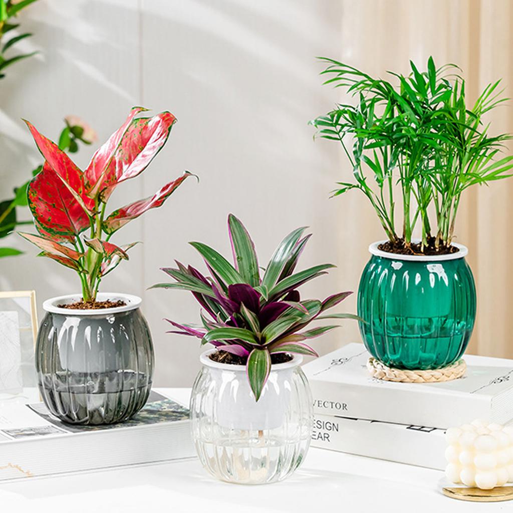 Clear Self Watering Planters Pots Modern Transparent Plants Care Pots for Garden Enthusiast Lover Gift