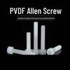 Lanshi PVDF Plastic Hex Socket Head Cap Screws