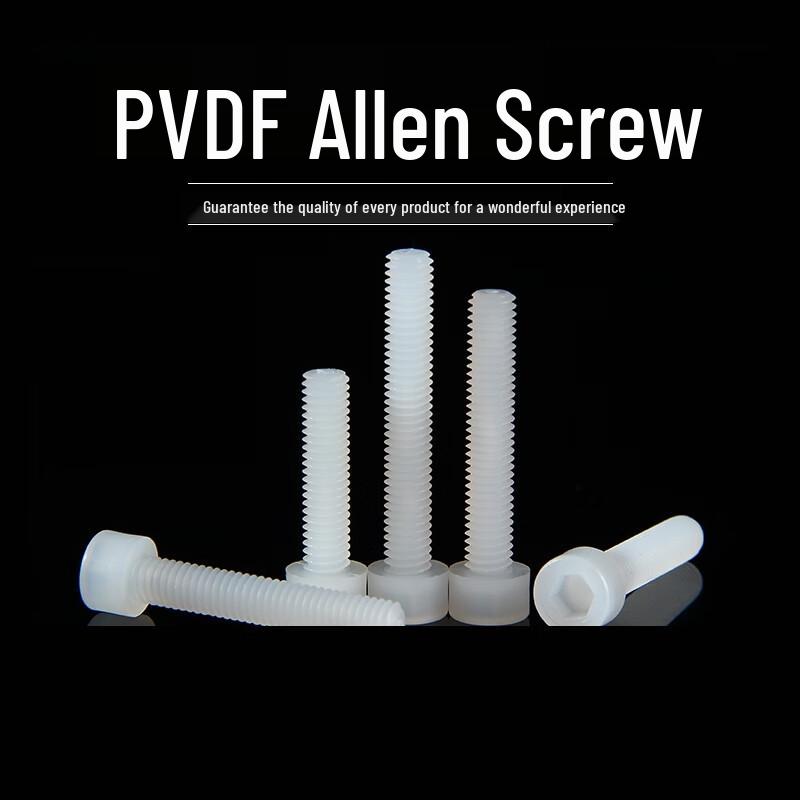 Lanshi PVDF Plastic Hex Socket Head Cap Screws