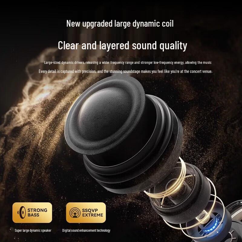Newmine M81 Bluetooth KTV Speaker & Dual Wireless Microphone Set CN plug (adapter included)
