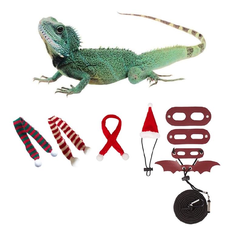 Lizard Leash Harness Set Christmas Costume Hat+Scarf for Gecko Hamster Ferret