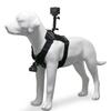 Uchwyt do montażu kamery sportowej Dla Psa Z kamizelką dla psa Dla DJI Dla Insta360 Uchwyt na kamizelkę dla psa