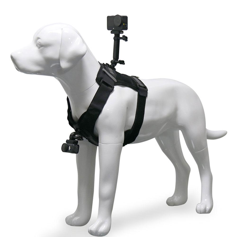 Uchwyt do montażu kamery sportowej Dla Psa Z kamizelką dla psa Dla DJI Dla Insta360 Uchwyt na kamizelkę dla psa