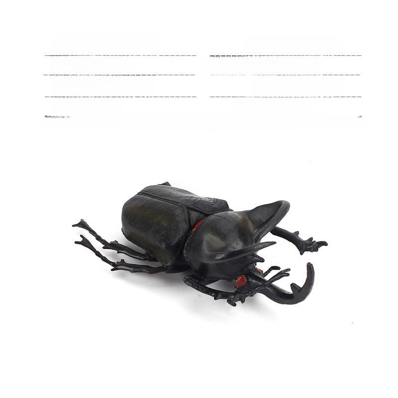 Allomyrina Dichotoma Model Pvc Realistic Display Scene For Science Education And Collectors