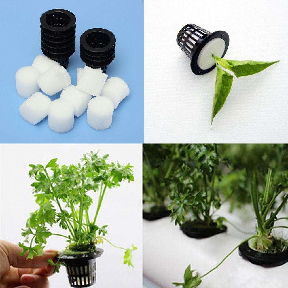 Aeroponic 10pcs Plant Grow Vegetable Hydroponic Foam Insert Mesh Pot Net Cup Planting Basket Nursery Pots