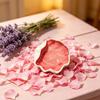 Shell Jewelry Tray, Ceramic Compact Storage Dish, Durable Scratch-Resistant Organizer, for Rings Earrings Necklaces Bracelets Watches