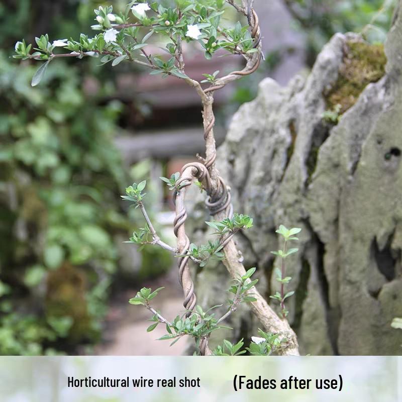 Crassula Ovata Shaping Wire: Soft Aluminum-Iron for Horticulture, Floral Art, Flower Arrangements, and Bonsai Branch Shaping.