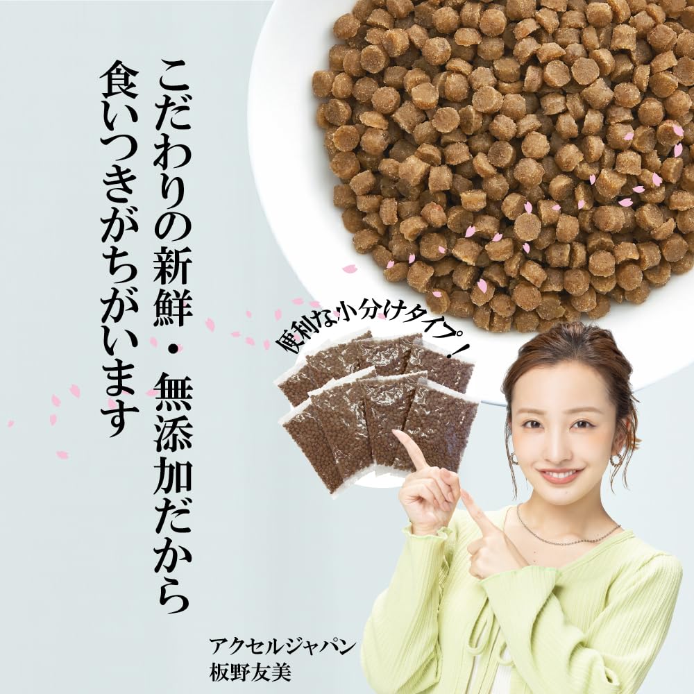 Sakura Pet Food for Dogs Food Soft Type 800g [Domestic/Additive-free/Fresh] Semi-raw [Dog Food/Soft/Senior]