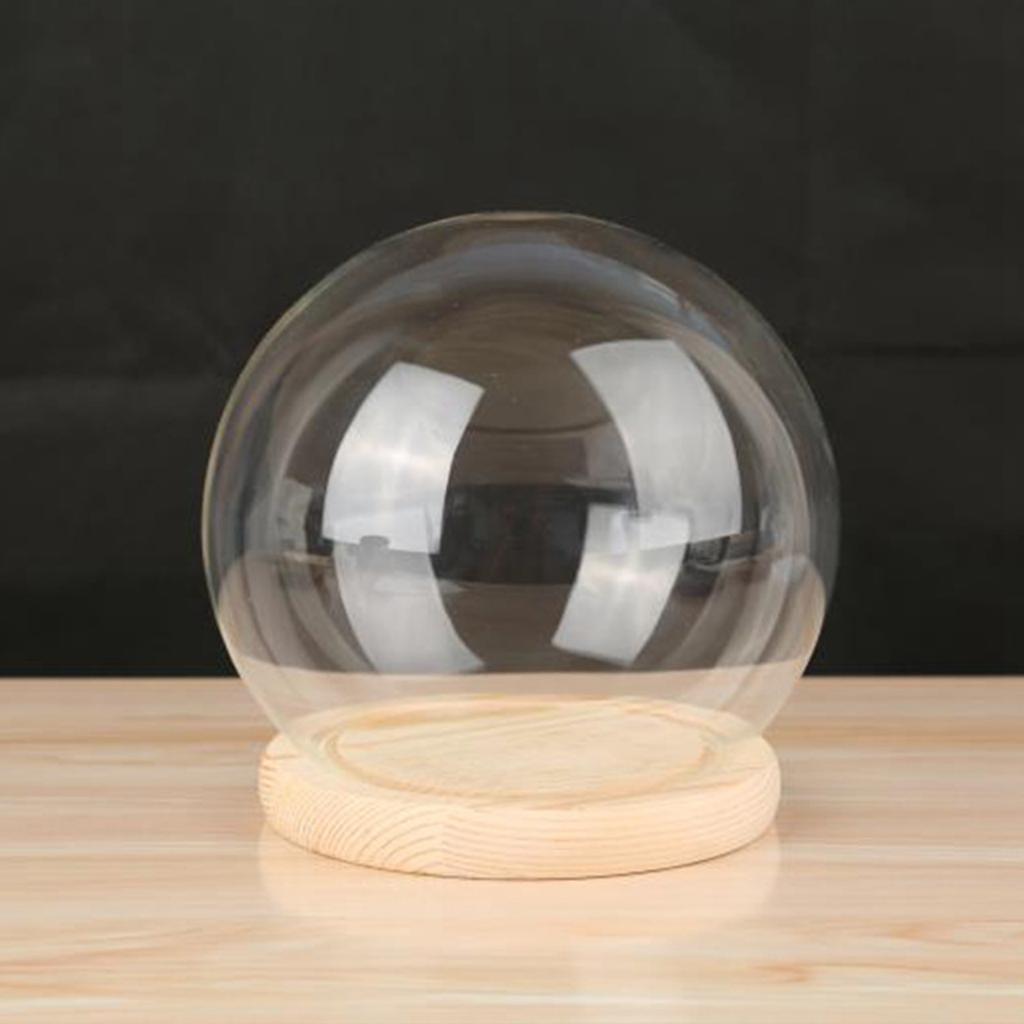 Clear Glass Display Dome with Wooden Base Dollhouse Decoration Bell Jar Display Case Pedestals Micro Landscape Holder