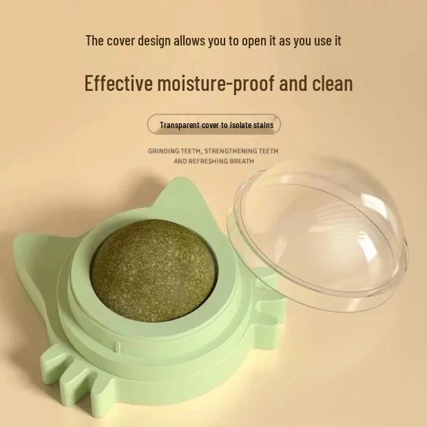 Newcomer Exclusive: Catnip Ball Teething Teaser - Bite-Resistant Self-Play Toy for Kittens