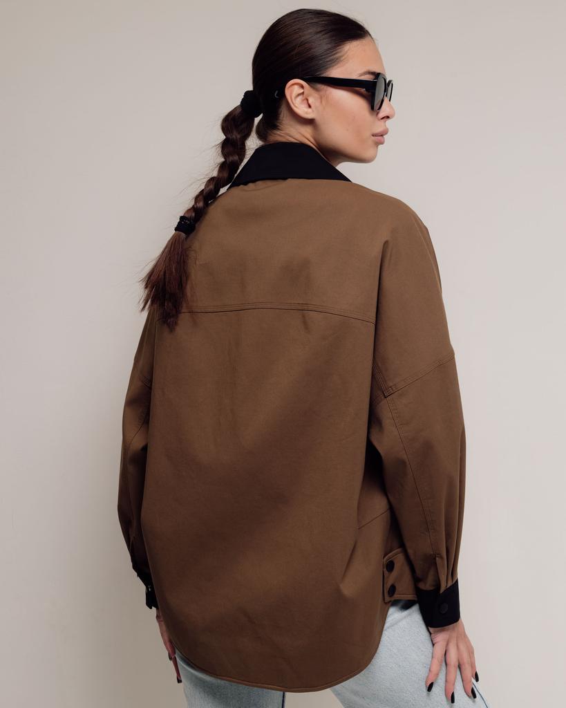 Windbreaker Clasna 229008 46 Brown