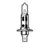 M&H Matsushima Halogen Bulb 12V 55W Clear H1 151 Light