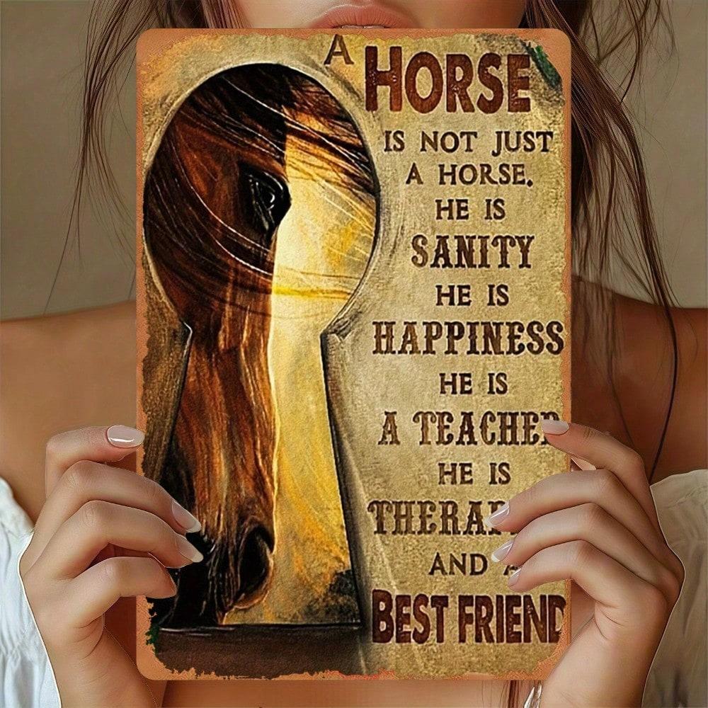 Vintage Metal Sign Retro Wall Art Home Decor 20x30cm