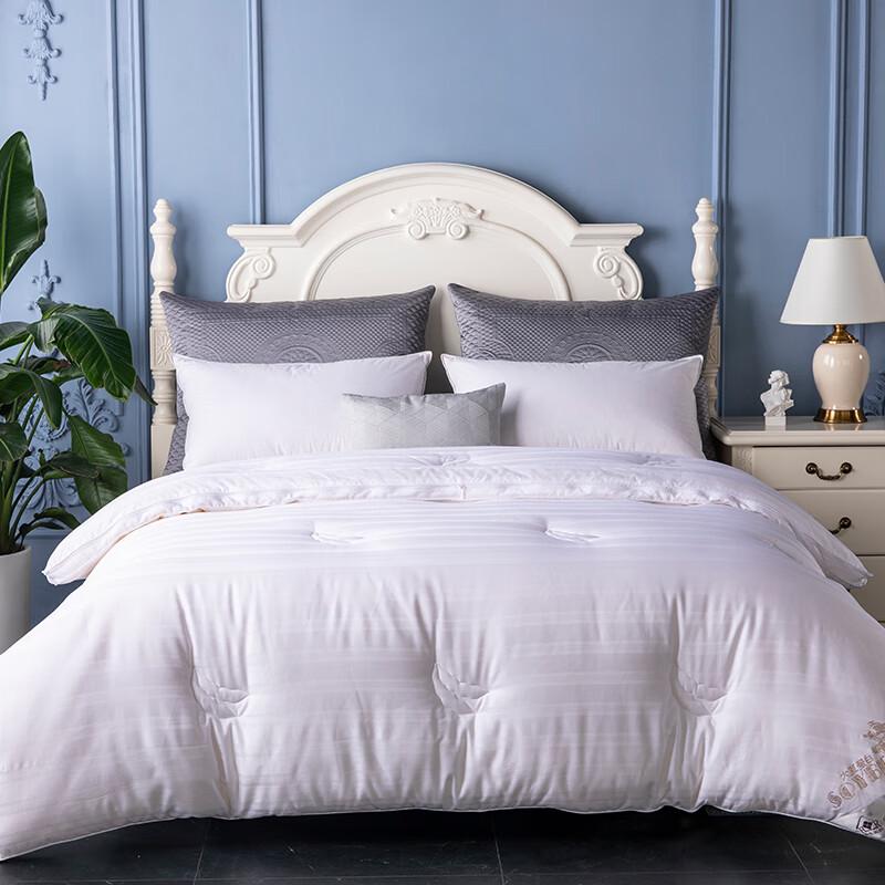 

Jihua All-Season Tencel Cotton Soybean 2-in-1 Quilt