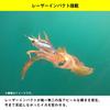 [DAIWA] Emeraldas Shine LC-LI Laser Impact Squid Jig Egi 2.5 LI Pink Glow Laser