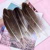 50Pcs15-20Cm Natural Goose Feather Multicolor Handicraft Dream Catcher Swan Feather Family Party Jewelry Decoration