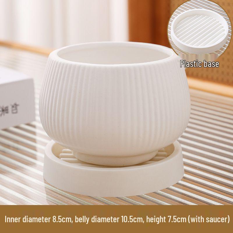 Ceramic Flower Pot with Tray for Orchids and Succulents