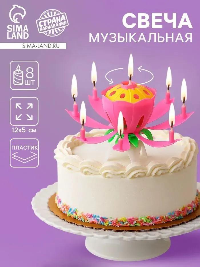 Candles for cake "Aroma of a holiday cake" 12 cm x 8 cm 1 pc