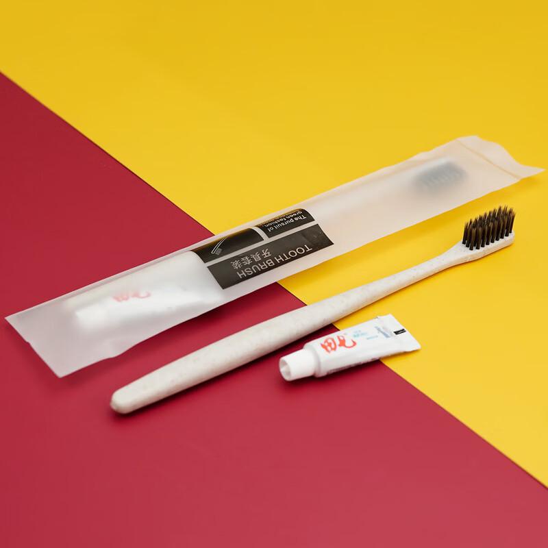 Disposable Travel Toothbrush & Toothpaste Set