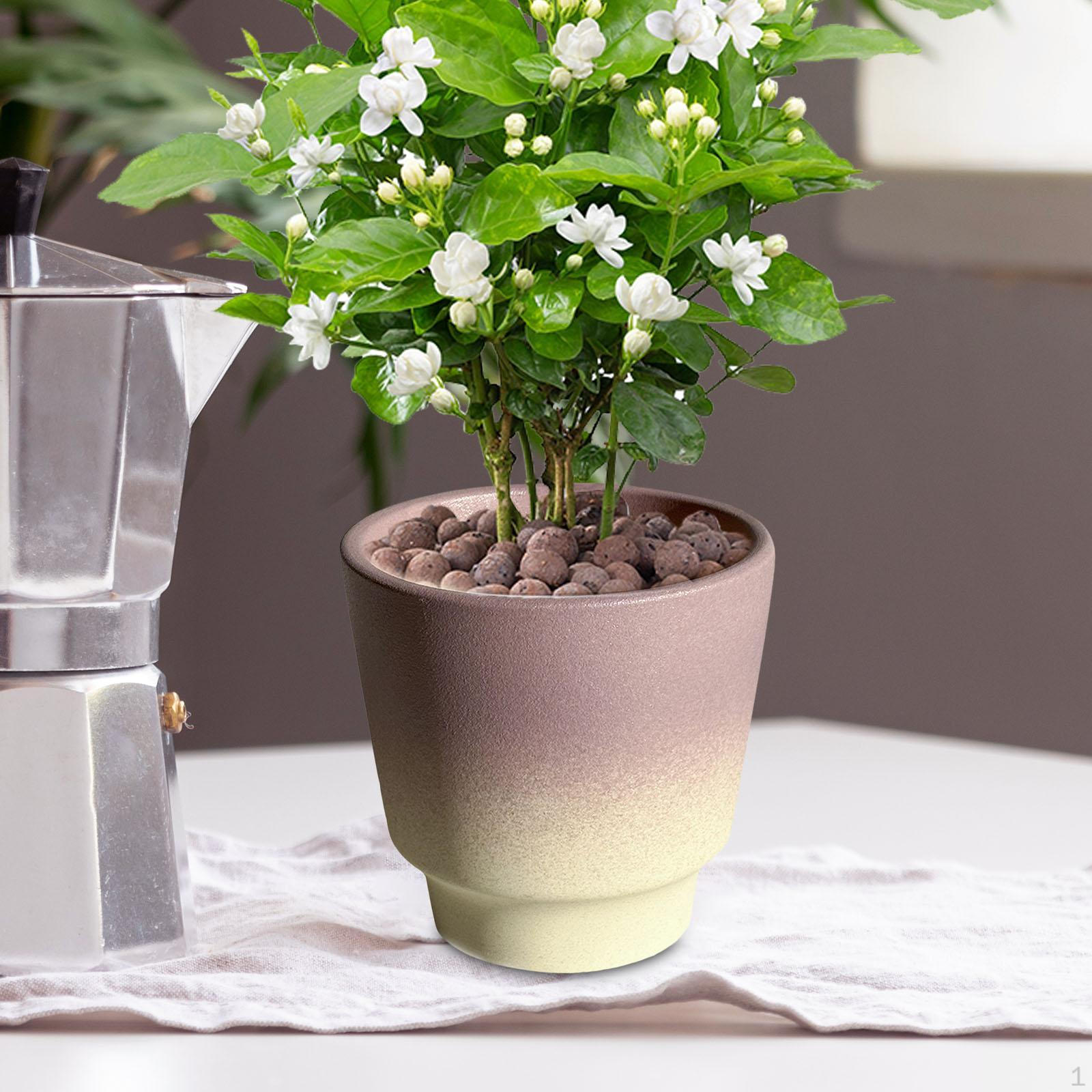 

Керамический горшок для цветов, современный контейнер, простой с отверстиями, цветочный горшок, цветок 12cm