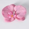 5pcs Simulated Film Butterfly Orchid Flower Head Petals Flower Accessories Headwear Hairclip Handmade Wedding Gift Decoration