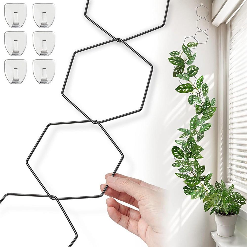 Advanced Matte Finish Climbing Plant Trellis Garden Chain Trellis