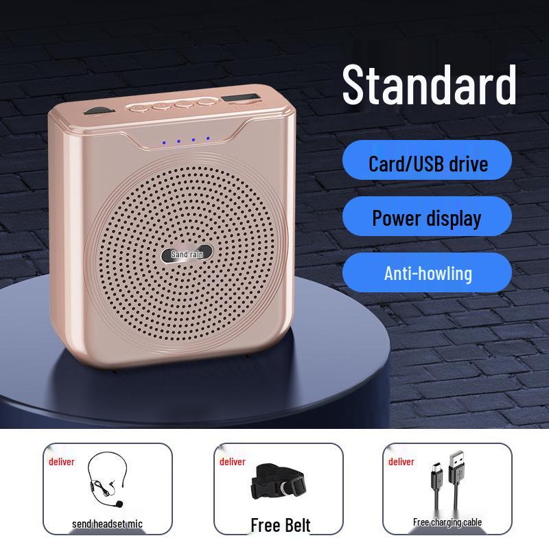 BeeSpeaker: Wireless Bluetooth Microphone for Teachers, Tour Guides, Lecturers - Classroom & Lecture Audio Amplifier