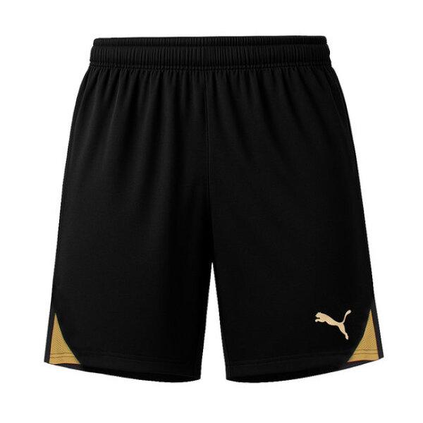 Puma Teamgoal Training Shorts Pants Black 705752 28