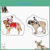 Přímý prodej z výroby Kostým na jízdu na koni Pro domácí mazlíčky Cosplay Rytířský kostým Pro psy