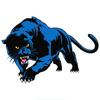 13cm Blue Panther Print Personality, Cover Scratches PVC Car Decoration Products Sticker Stickers On Motorcycle Exterior Parts