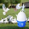 Pigeon Drinker Pet Birds Waterer Farming Tool Water Feeding Automatic Pigeon Water Dispenser