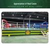 Professional Boxing & Martial Arts Competition Ring