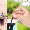 Beekeeping Moving Grafting Tools   Rearing Needle Set with Spring-Loaded Plunger for   Larva Transfer