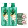 Hazeline Pink Rose Soap & Multi-Effect Shampoo Bundle